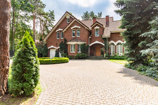 Best Driveway Paving Contractor  in Battle Creek, NE