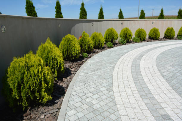 Best Driveway Pavers Near Me  in Battle Creek, NE